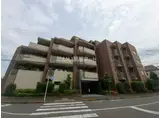 アンビシャス河辺