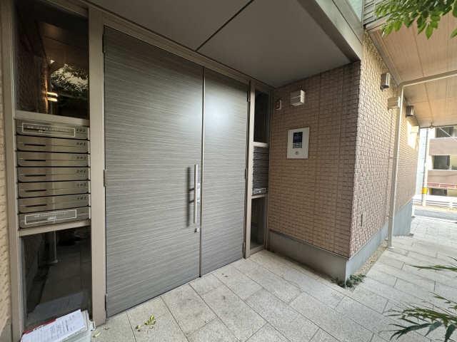 ステラ向陽