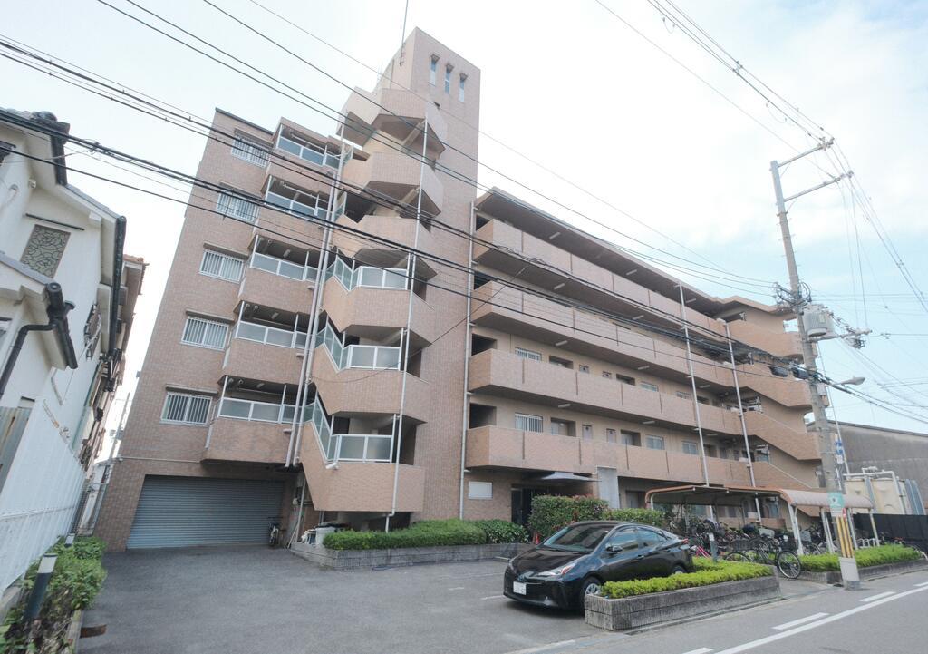 ノースフライト