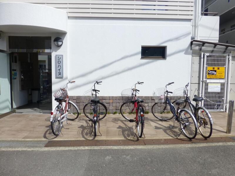 シロハイヌ