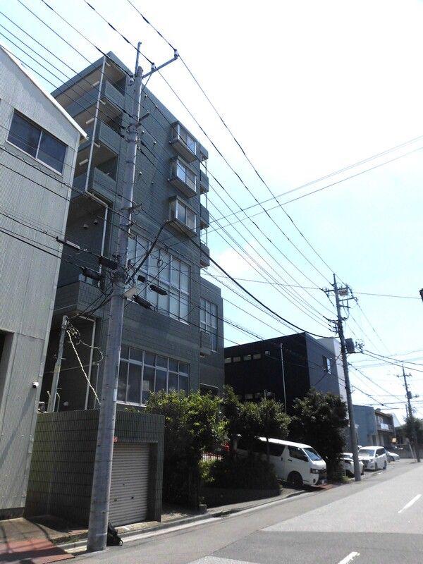 オリーブ