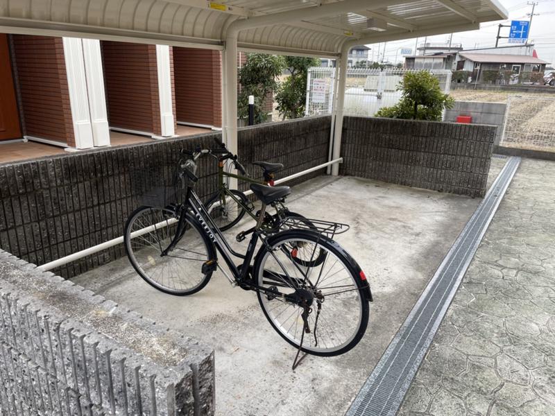 シンヴィオシスC