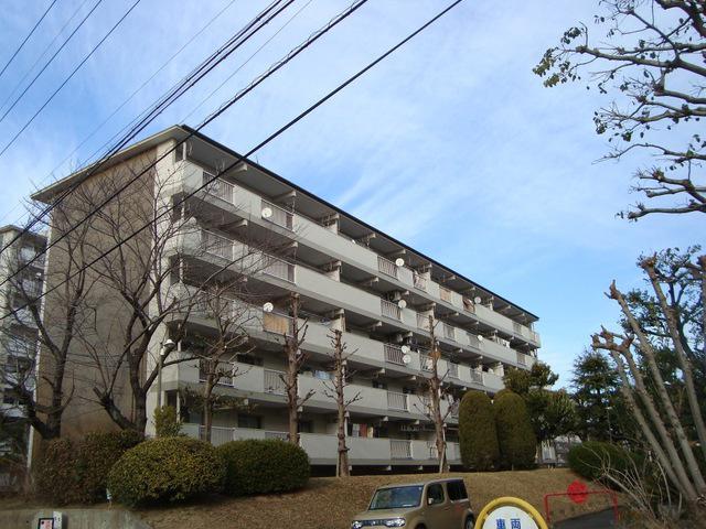 藤の木団地8号棟