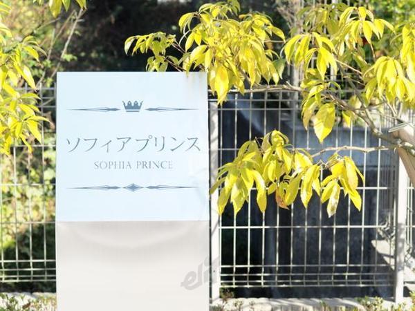 ソフィアプリンス