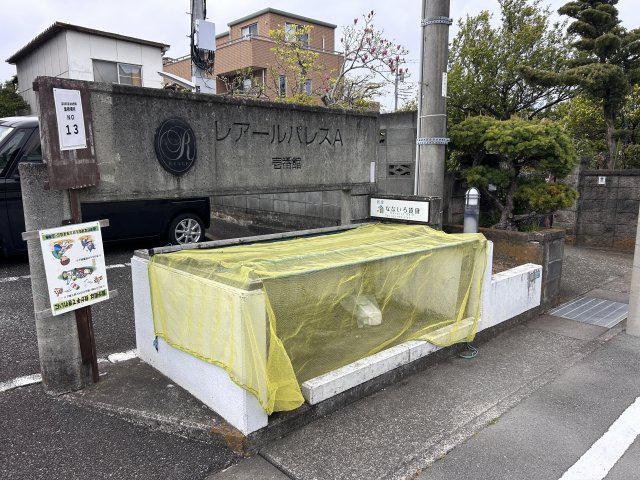 レアールパレスA