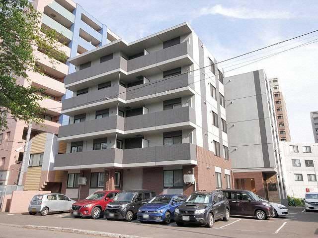 ASSE円山桜並木