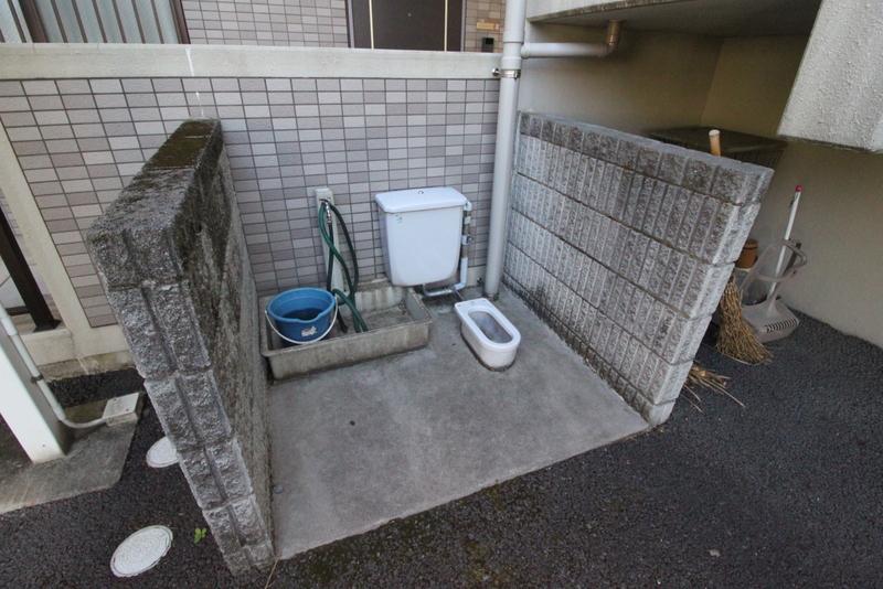 クリヴィアミニアタ