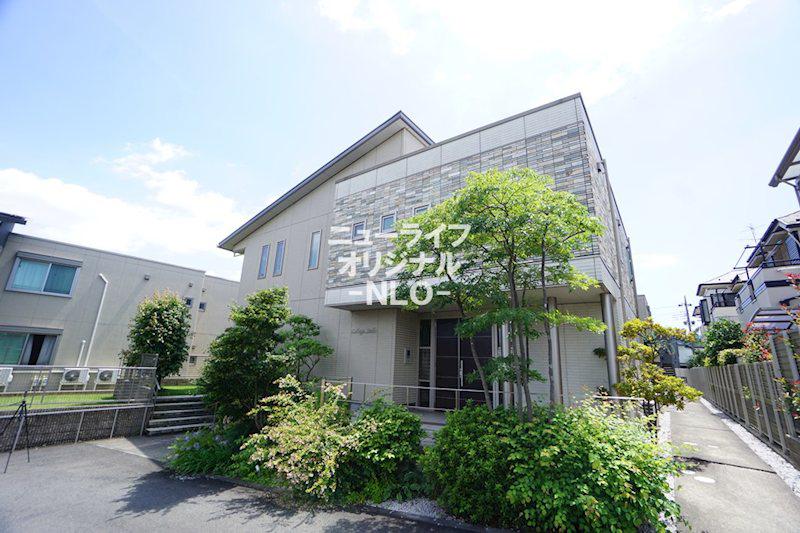 コラージュステラ