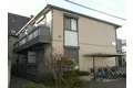 スプリング・コートC