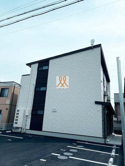 NEO-ANES