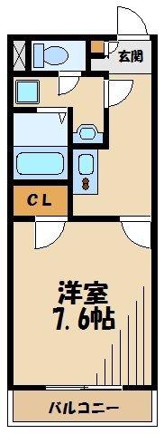 レオネクストステラ(1K/2階)の間取り写真