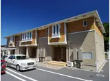 ビオラ・アロッジオII