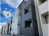 REGALEST菊菜
