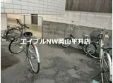 シャンティ青江