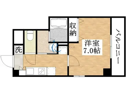 ラフォンテ中野(1K/7階)の間取り写真