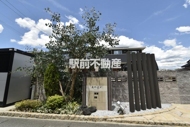 アンジュII