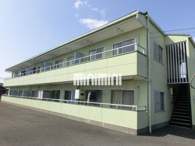 シアフルコート