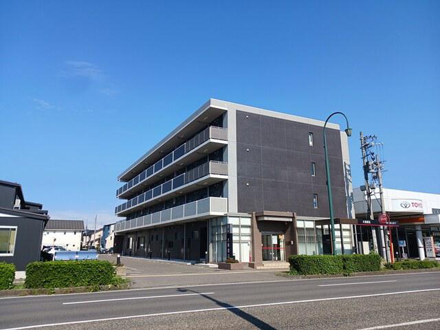 プラシード