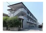 ラヴィアン