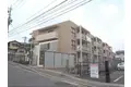 ローファス小島