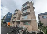 セントポーリアアイリス