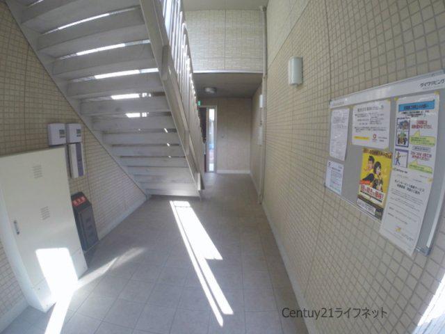 シャルムA