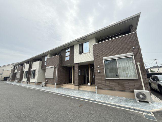 ヴィオラ 堂本