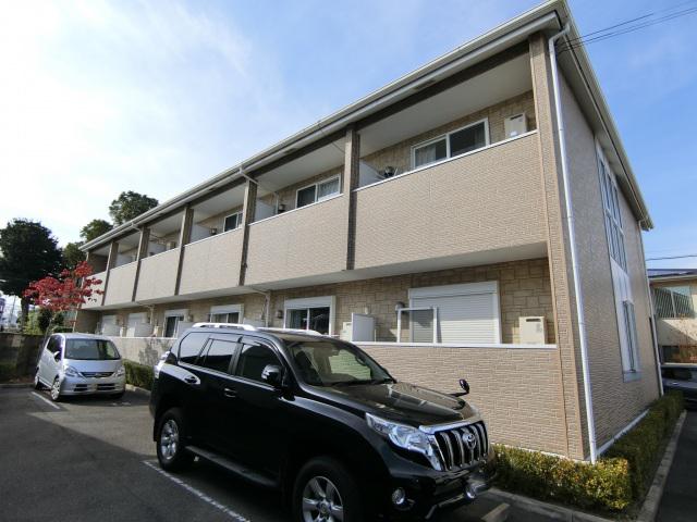 グランデ花水木