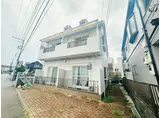 ハイムカトレア