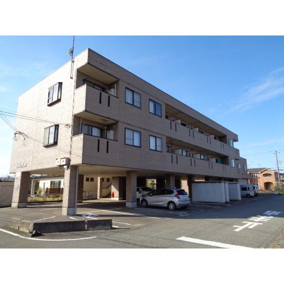 スターブルプラム
