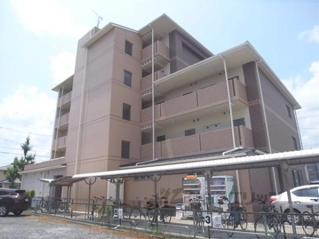 D・マローネ桂