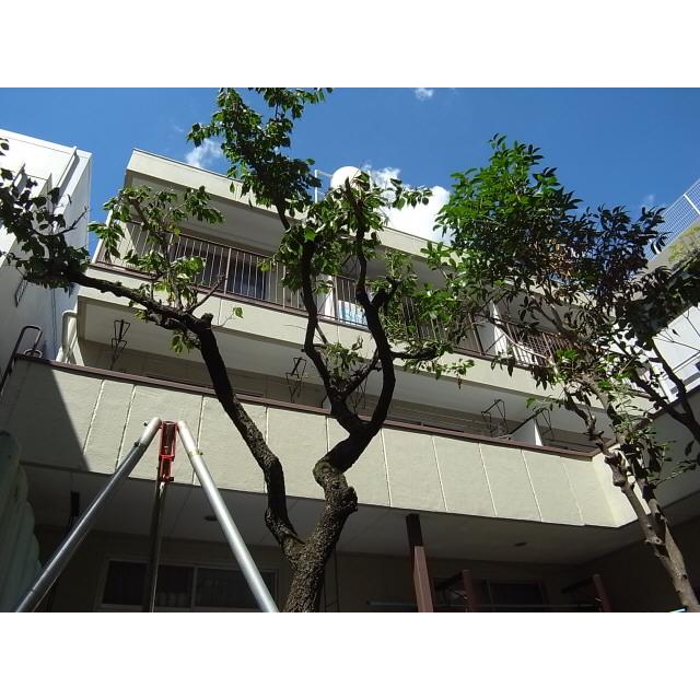 メゾン新中野(1LDK/3階)