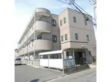 サングレース