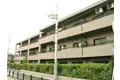 グリーンクローバー