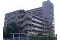 サンライフ東川口