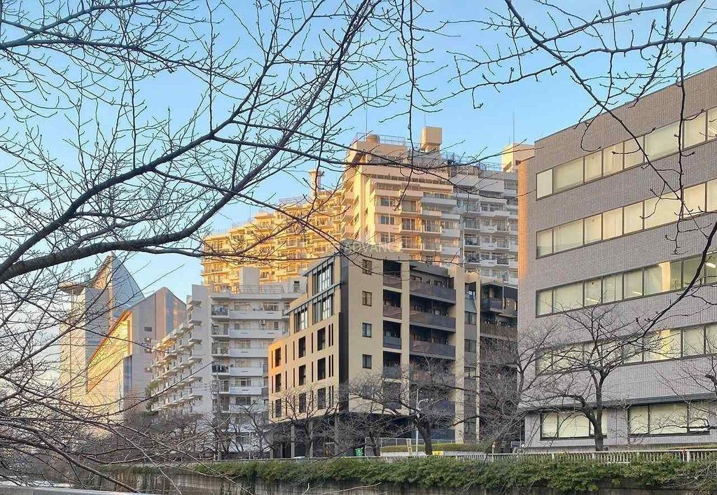 東急目黒線 不動前駅 徒歩6分 7階建 築4年