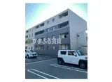 キーウィ
