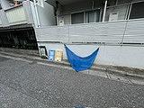 ロワールウィスタリア