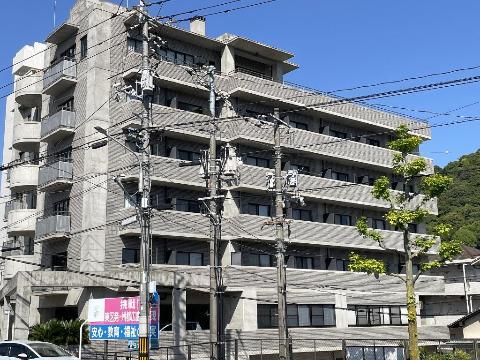 モーニングパーク