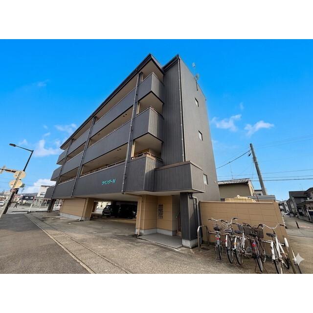 ラベンダーIV