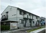 カーサマルカメ