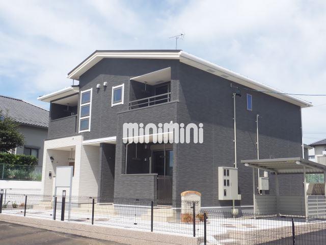 サニースポット M