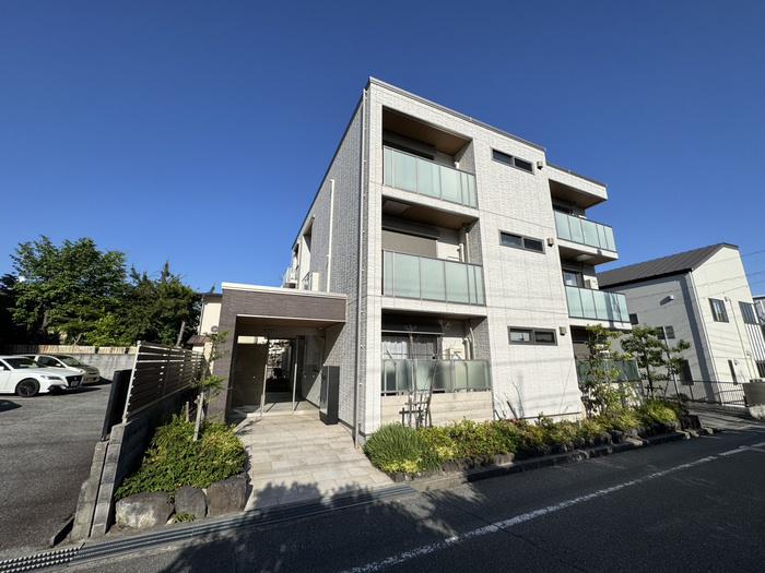 Y′S COURT