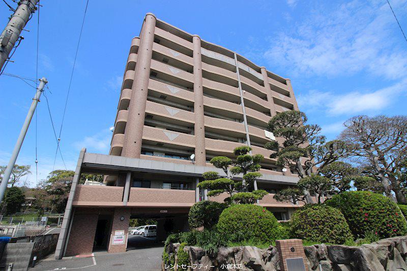 アヌビアス紫川