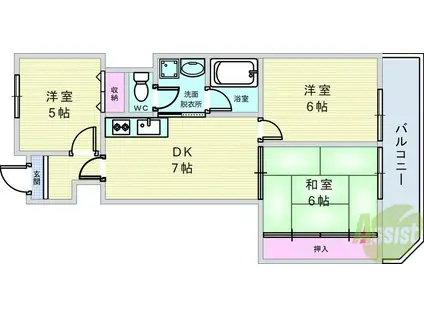 ベルヴュー赤阪(3DK/5階)の間取り写真