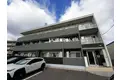 サニーオレンジ