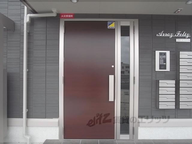 アロース フェリス