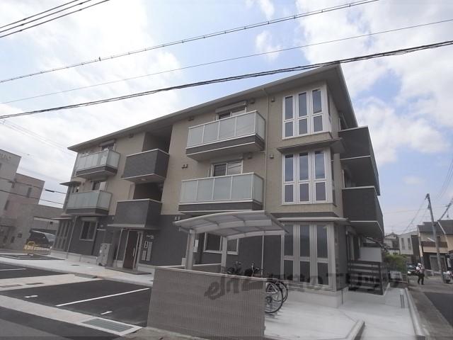 アロース フェリス