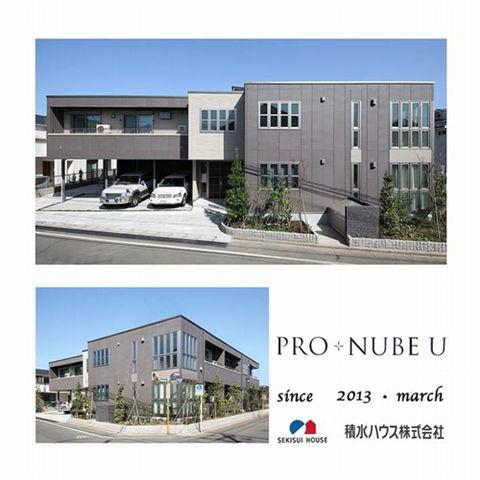 PRO NUBE Uプロヌーブユー