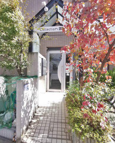 COLLECTION諏訪ノ森